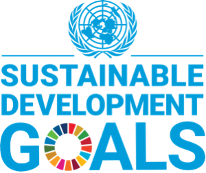 Sustainable Development Goals (DSDG) in the United Nations