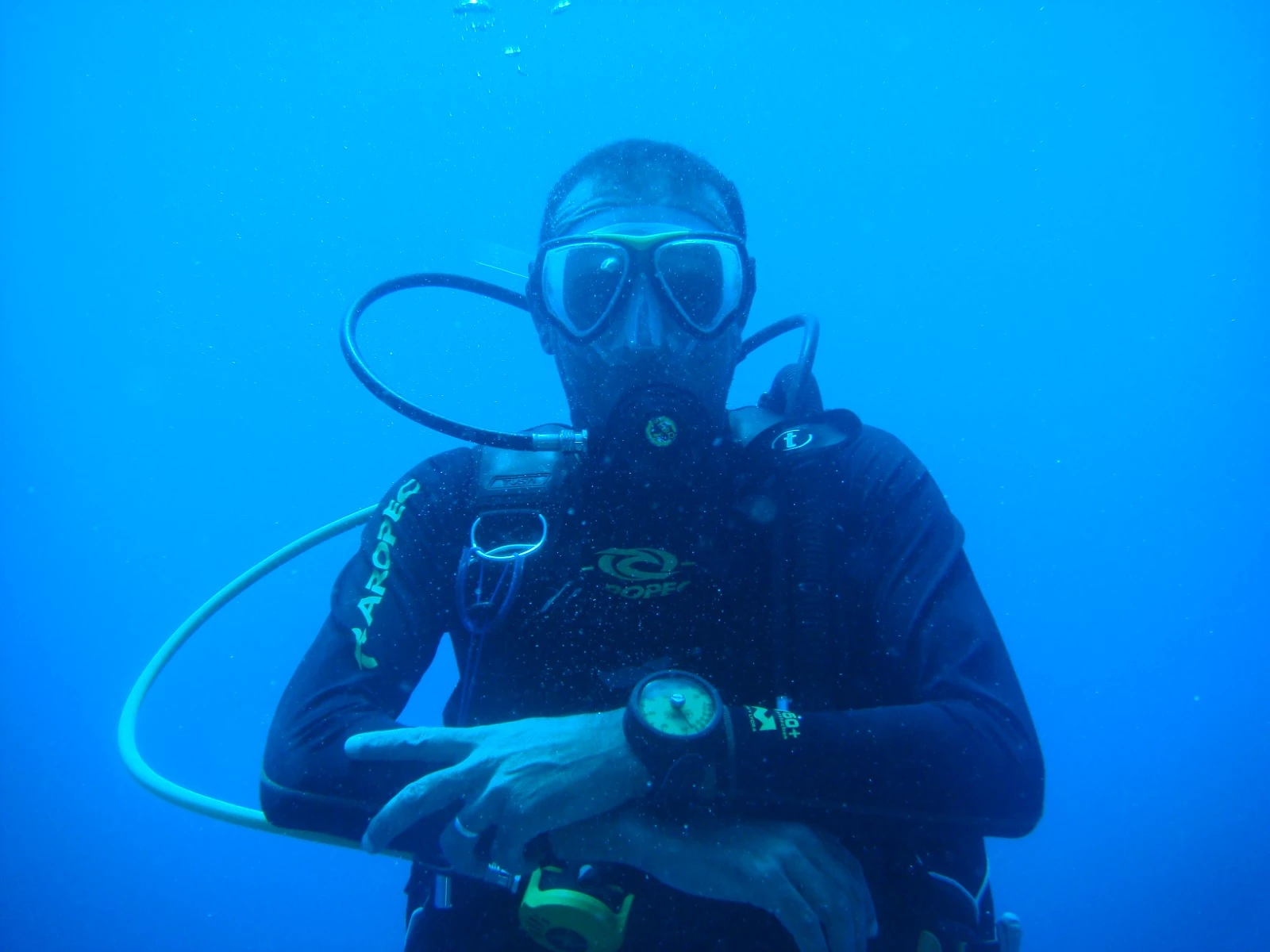 Diving gallery