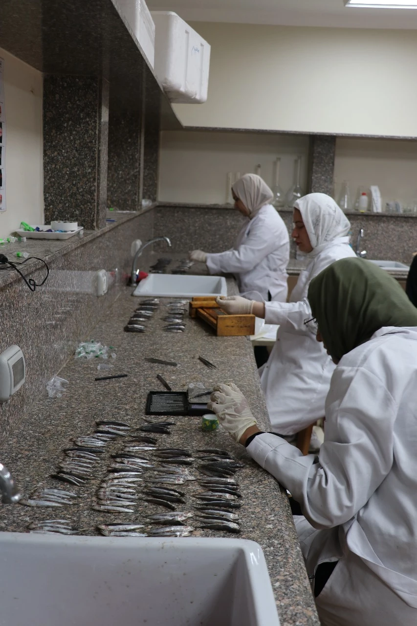حماية وتنمية البحيرات والثروة السمكية (LFRPDA